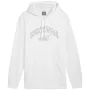 PUMA ESS+ Logo LAB Gradient kapuutsiga dressipluus FL Puma valge keskmine