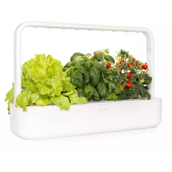 Click & Grow Smart Garden 9 Siseaed ürtide ja köögiviljade kasvatamiseks LED-kasvuvalgustite, isekastmise ja 9 taimekapsliga, valge