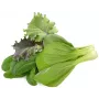 Click & Grow PPMAGX9 Smart Garden taimekaunid 9-pakk (segatud sordid, biolagunevad, koos kuplitega)