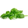 Click & Grow lehtselleri taimekapslid Smart Garden aiale, 3 tk (SGR97X3)