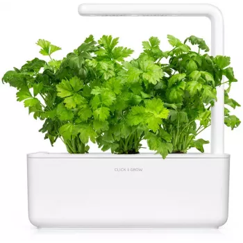 Click & Grow lehtselleri taimekapslid Smart Garden aiale, 3 tk (SGR97X3)