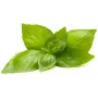 Click & Grow sidrunbasiiliku taimekapslid Smart Garden aiale, 3 tk (SGR76X3)