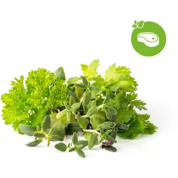 Click & Grow praemaitsetaimede segu taimekapslid Smart Garden aiale, 9 tk (PPMSSX9)