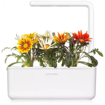 Click & Grow gatsaania taimekapslid Smart Garden aiale, 3 tk (SGR92X3)