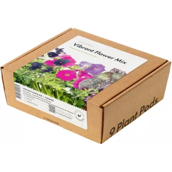 Click & Grow erksate lillede segu taimekapslid Smart Garden aiale, 9 tk (PPMVBX9)