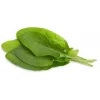 Click & Grow hapuoblika taimekapslid Smart Garden aiale, 3 tk (SGR55X3)