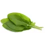 Click & Grow hapuoblika taimekapslid Smart Garden aiale, 3 tk (SGR55X3)