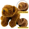 LEAN TOYS Plüšist mängukaru Pruun kaisukaru 28cm
