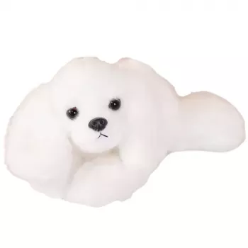 LEAN TOYS Plüšist Malta koer kaalutud käppadega Valge 30cm