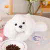 LEAN TOYS Plüšist Malta koer kaalutud käppadega Valge 30cm