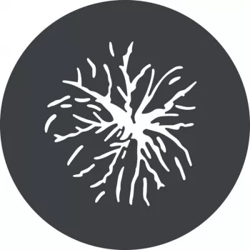Godox GP GS2 Gobode komplekt GP-projektsioonikinnituse jaoks (6 mustrit)