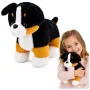 LEAN TOYS Plüšist pehme koerakaisutaja Berni alpi karjakoer 30x30 cm