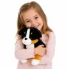 LEAN TOYS Plüšist pehme koerakaisutaja Berni alpi karjakoer 30x30 cm