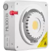 Godox ML100 Bi-color Kit 2 - 100W LED Monolight koos Softboxi, Statiivi, Reflektoriga ja Kandekotiga