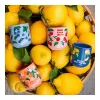 Bialetti Fruit Vibes keraamiline kohvitasside komplekt, 300 ml, mitmevärviline, nõudepesumasinas ja mikrolaineahjus kasutamiseks sobiv