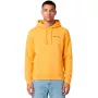 Champion meeste kapuutsiga dressipluus kollane 221791 YS164 XL