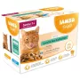 IAMS Delights Senior Land & Sea Collection in Gravy – märg kassitoit – 12x85g