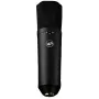 Warm Audio WA-87 R2 BL Suure diafragmaga kondensmikrofon - Nikkel