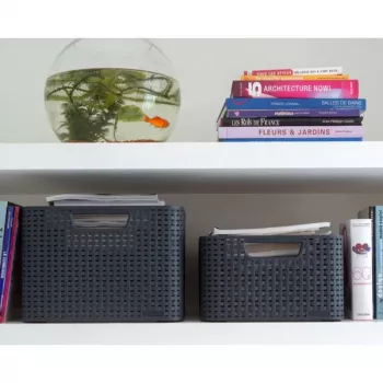 CURVER Style L hoiukarp 43,6 x 32,6 x 23 cm tumehall