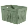 CURVER Infinity Recycled Box 17L 36x27x22cm Roheline