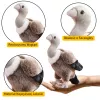 LEAN TOYS pehme kaeluskotkas linnu pehme mänguasi maskott kaisukaru 25cm
