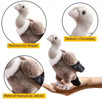 LEAN TOYS pehme kaeluskotkas linnu pehme mänguasi maskott kaisukaru 25cm
