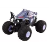 LEAN TOYS suur maastikul juhtimiskaugusega auto 2.4G RC 1:6 Shark