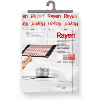 RAYEN Õhupuhasti filter indikaatoriga 57x47cm