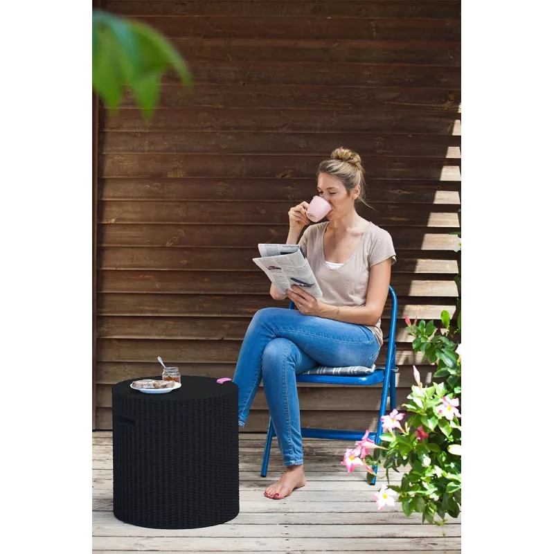 KETER aialaud/hoidmiskast Cool Stool pruun
