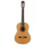 Prodipe Guitars Soloist 900 4/4 - klassikaline kitarr