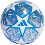 adidas UCL treeningjalgpall valge ja hõbedane IN9326 5