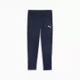 Meeste Puma Team Goal treeningpüksid tumesinised 658639 06 L