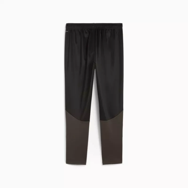 Meeste püksid Puma Team Goal Training must 658639 03 S