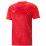 Meeste T-särk Puma teamULTIMATE punane 705371 01 M