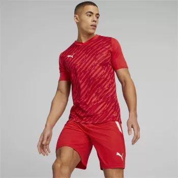Meeste T-särk Puma teamULTIMATE punane 705371 01 M