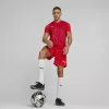 Meeste T-särk Puma teamULTIMATE punane 705371 01 M