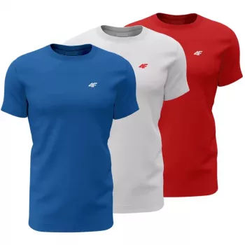 Meeste T-särk 4F M4482 3-pakk sinine, valge, punane 4FWSS26TTSHM4482 90S M