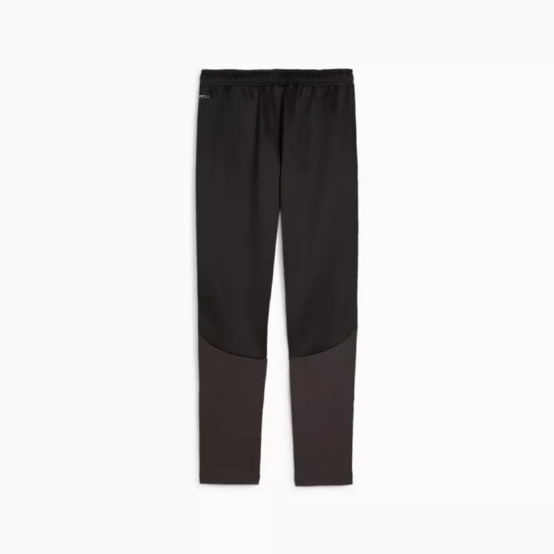 Laste püksid Puma Team Goal Training mustad 658641 03 164cm