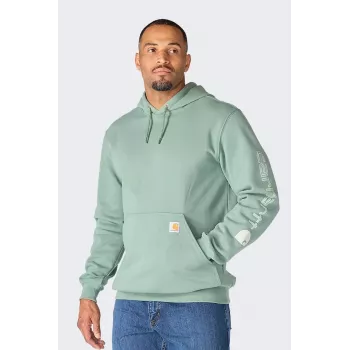 Carhartt Iconic K288 Logo kapuutsiga pusa GREEN SLATE
