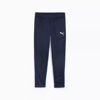 Meeste treeningpüksid Puma Team Goal Training tumesinised 658639 06 S