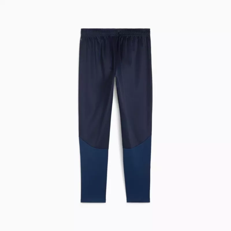Meeste püksid Puma Team Goal Training tumesinised 658639 06 M