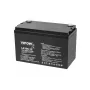 VIPOW geelaku 12V 100Ah