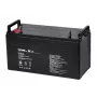 VIPOW geelaku 12V 120Ah