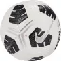 Nike Club Elite Team jalgpall valge-must-hõbedane CU8053 100