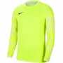Nike Dry Park IV JSY LS GK Junior Laimeroheline väravavahi džemper CJ6072 702 XS