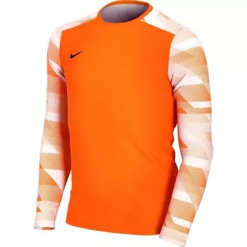 Nike Dry Park IV JSY LS GK Junior väravavahi džemper oranž CJ6072 819 L