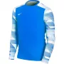 Nike Dry Park IV JSY LS GK Juniori väravavahi džemper Royal Blue CJ6072 463 XL