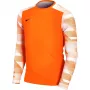 Nike Dry Park IV JSY LS GK Junior väravavahi džemper oranž CJ6072 819 S