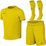 Nike Dri-FIT Park VIII laste jalgpallikomplekt Opti Yellow/Must suurus S