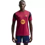 Nike FC Barcelona Strike meeste jalgpallitrennivormi pluus Dark Wine XL